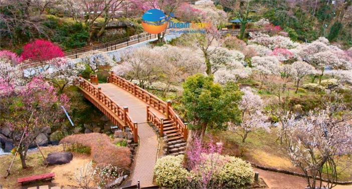 [HCM] Tour Hành Trình Vàng Nhật Bản Mùa Đông Đón Tết Bính Ngọ